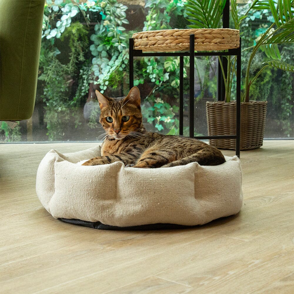 Eden 100% Recycled Cat Bed - Cream