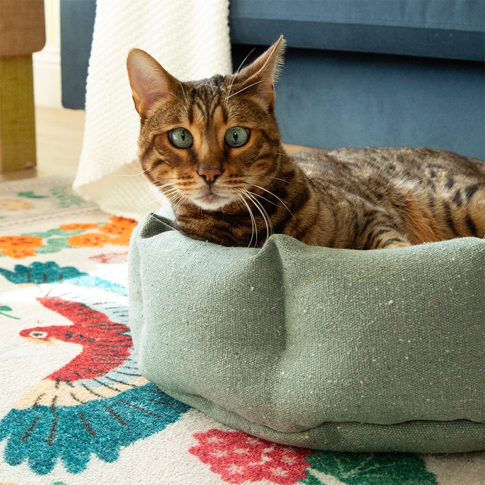 Eden 100% Recycled Cat Bed - Sage Green