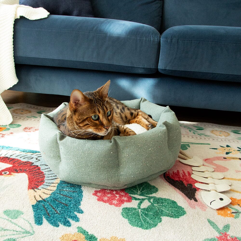 Eden 100% Recycled Cat Bed - Sage Green