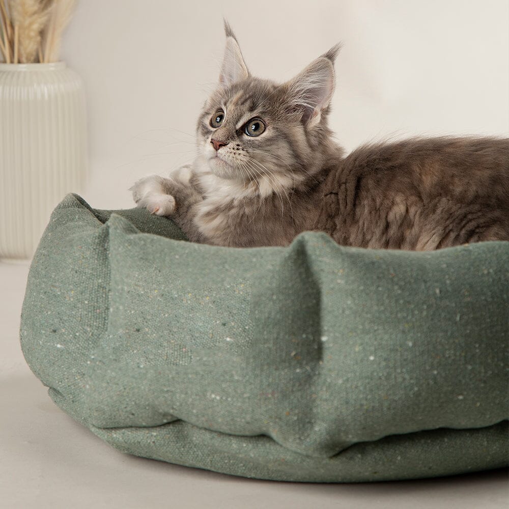 Eden 100% Recycled Cat Bed - Sage Green