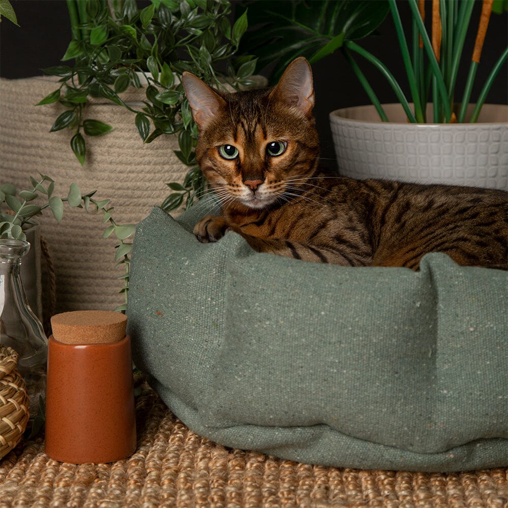 Eden 100% Recycled Cat Bed - Sage Green