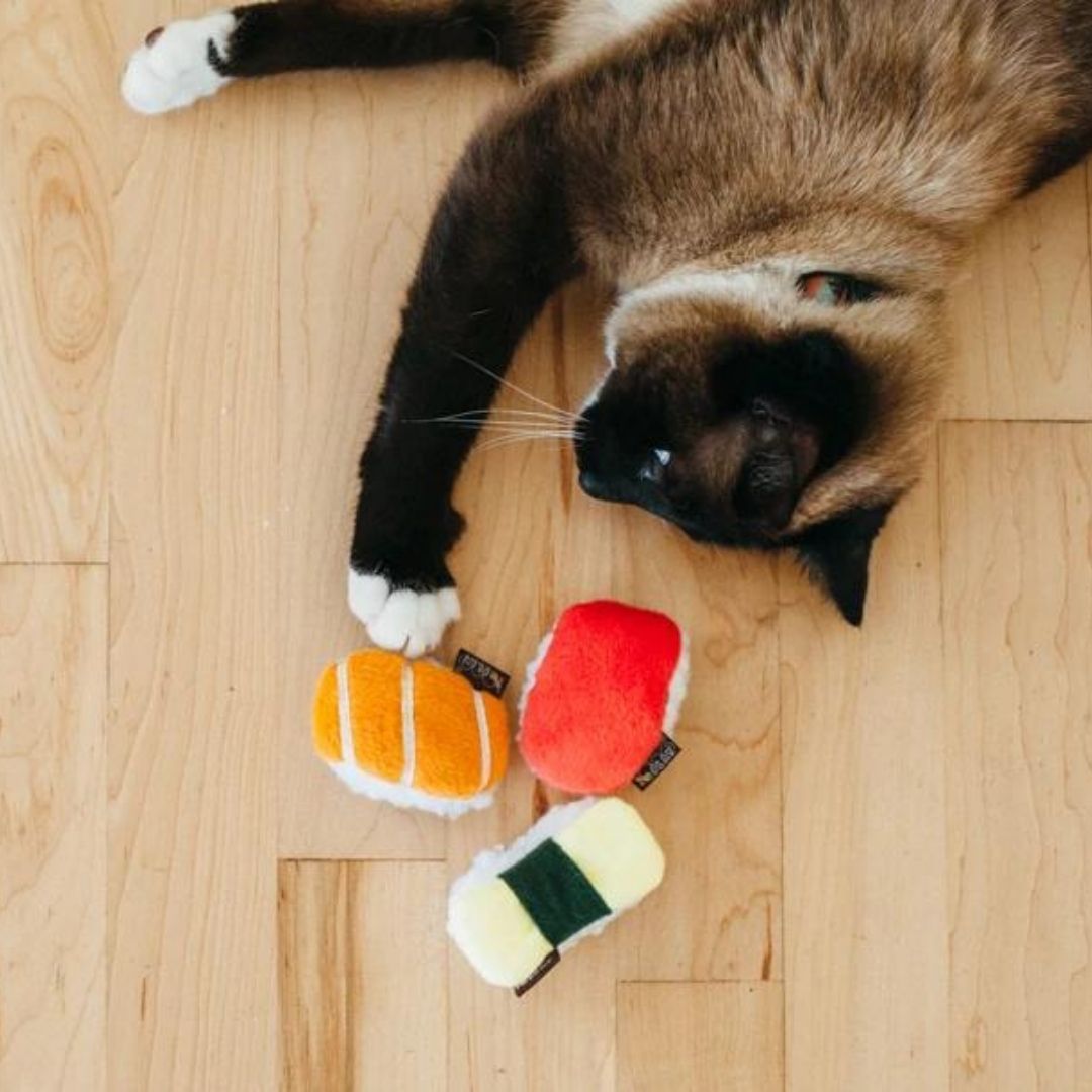 Feline Frenzy Sushi Cat Toy Set of 3 2