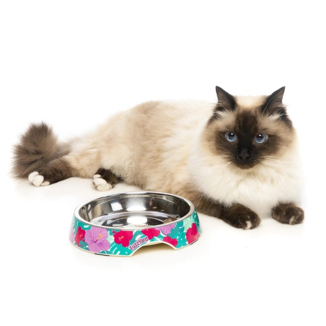 FuzzYard Lahaina Cat Feeding Bowl 3
