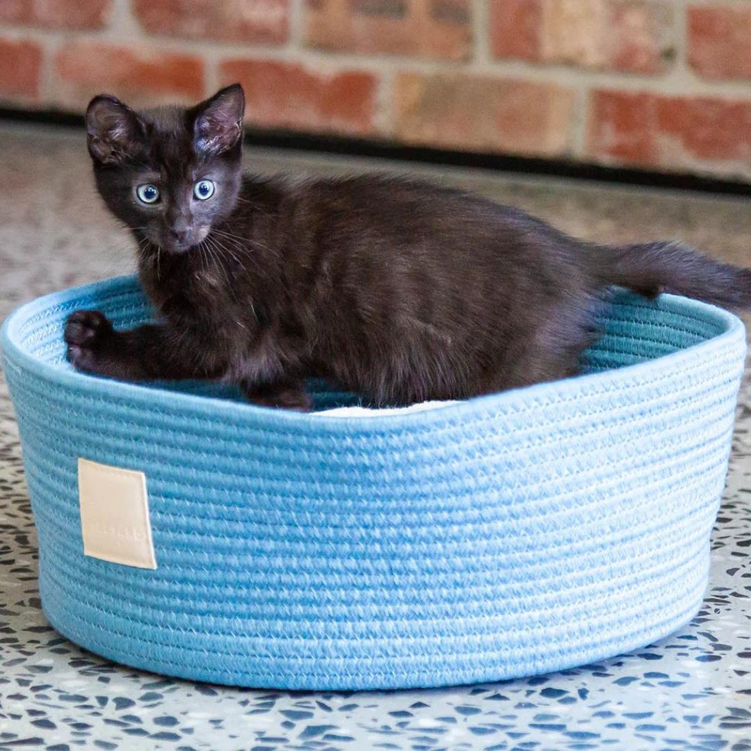 FuzzYard Life Rope Basket Bed In French Blue