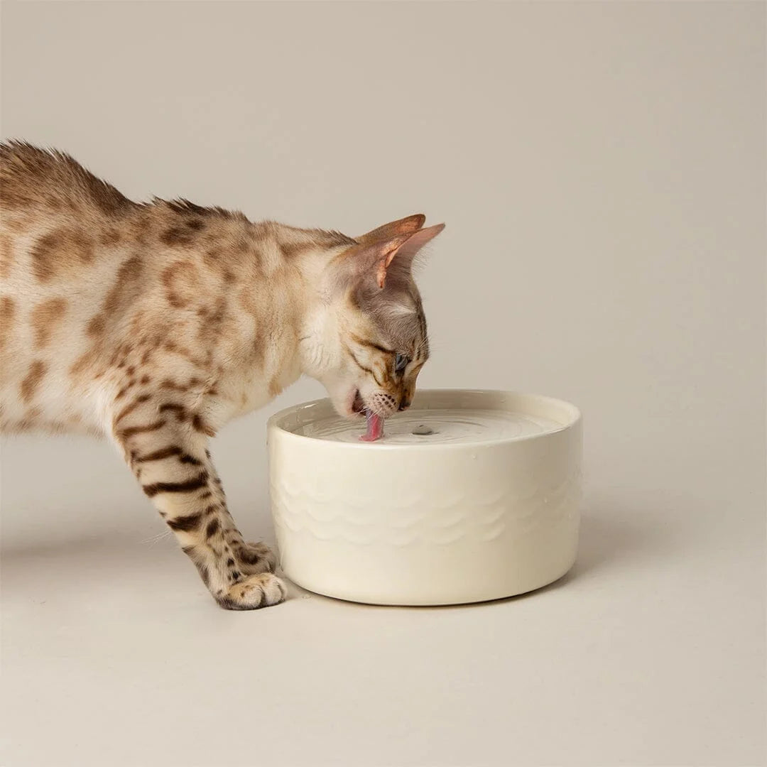 Icon Cat Water Fountain 20cm - Cream