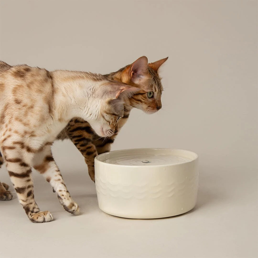 Icon Cat Water Fountain 20cm - Cream