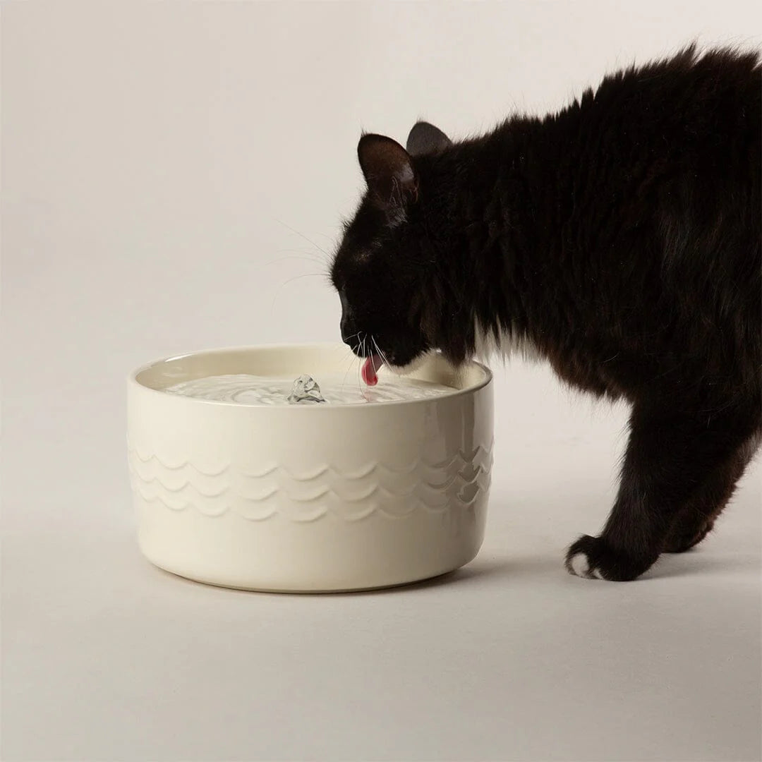 Icon Cat Water Fountain 20cm - Cream