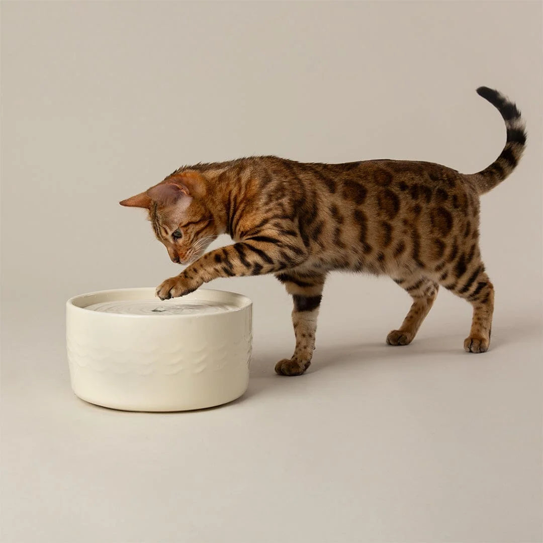 Icon Cat Water Fountain 20cm - Cream