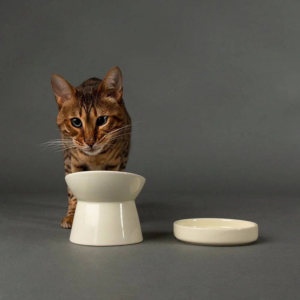 Icon Raised Cat Feeder Bowl & Saucer Set - Cream