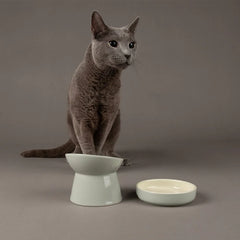 Icon Raised Cat Feeder Bowl & Saucer Set - Light Grey