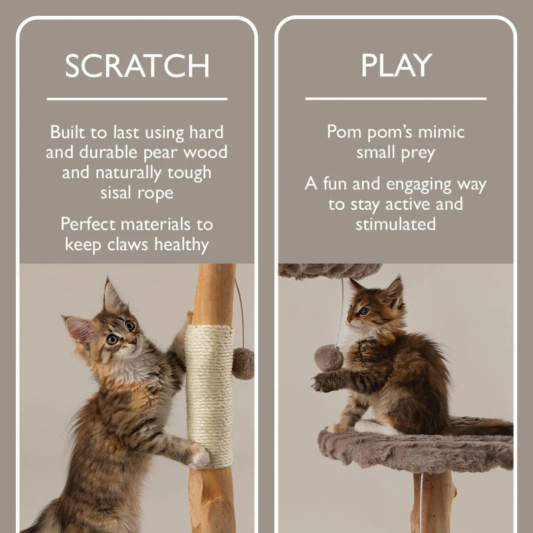 Alpine Andes 'My First' Cat Scratching Post - Taupe