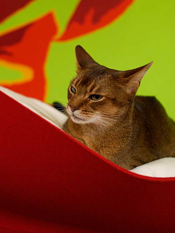 Luxury Felt Bowl Cat Bed Red Cream