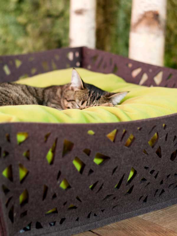 Luxury Felt Bowl Nido Cat Bed