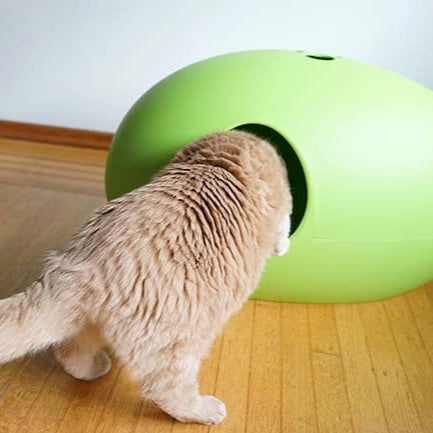 Luxury Green Poopoopeedo Cat Litter Box
