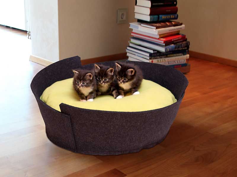 Luxury Lido Felt Cat Bed Black green