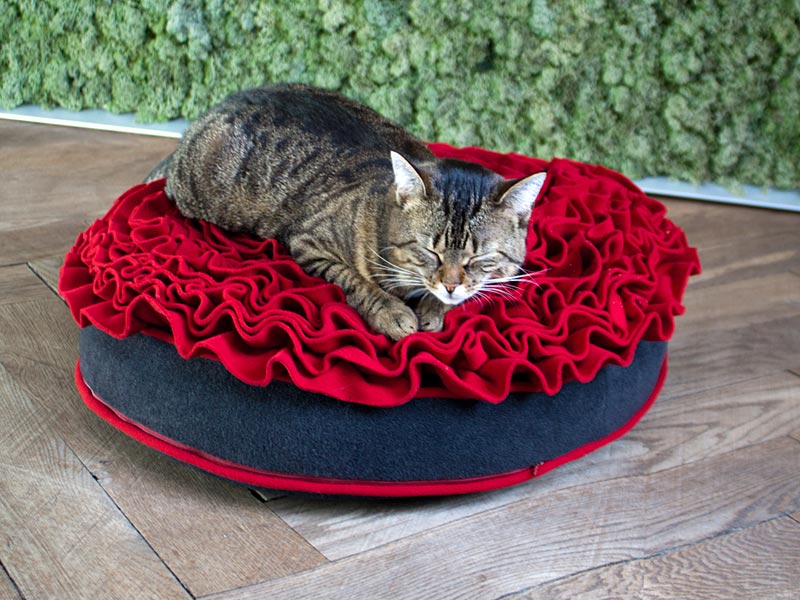 Luxury Lounge Rose Cat Bed REd 3