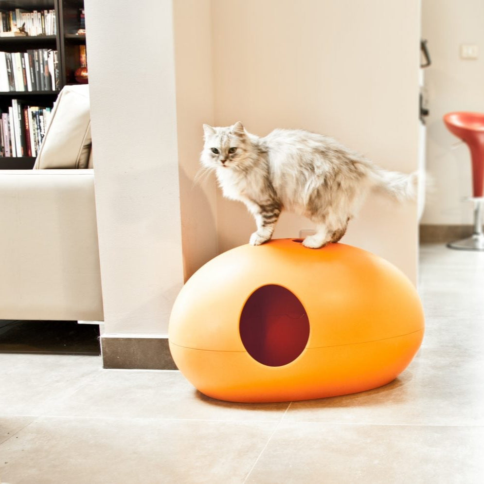 Luxury Orange Poopoopeedo Cat Litter Box 4