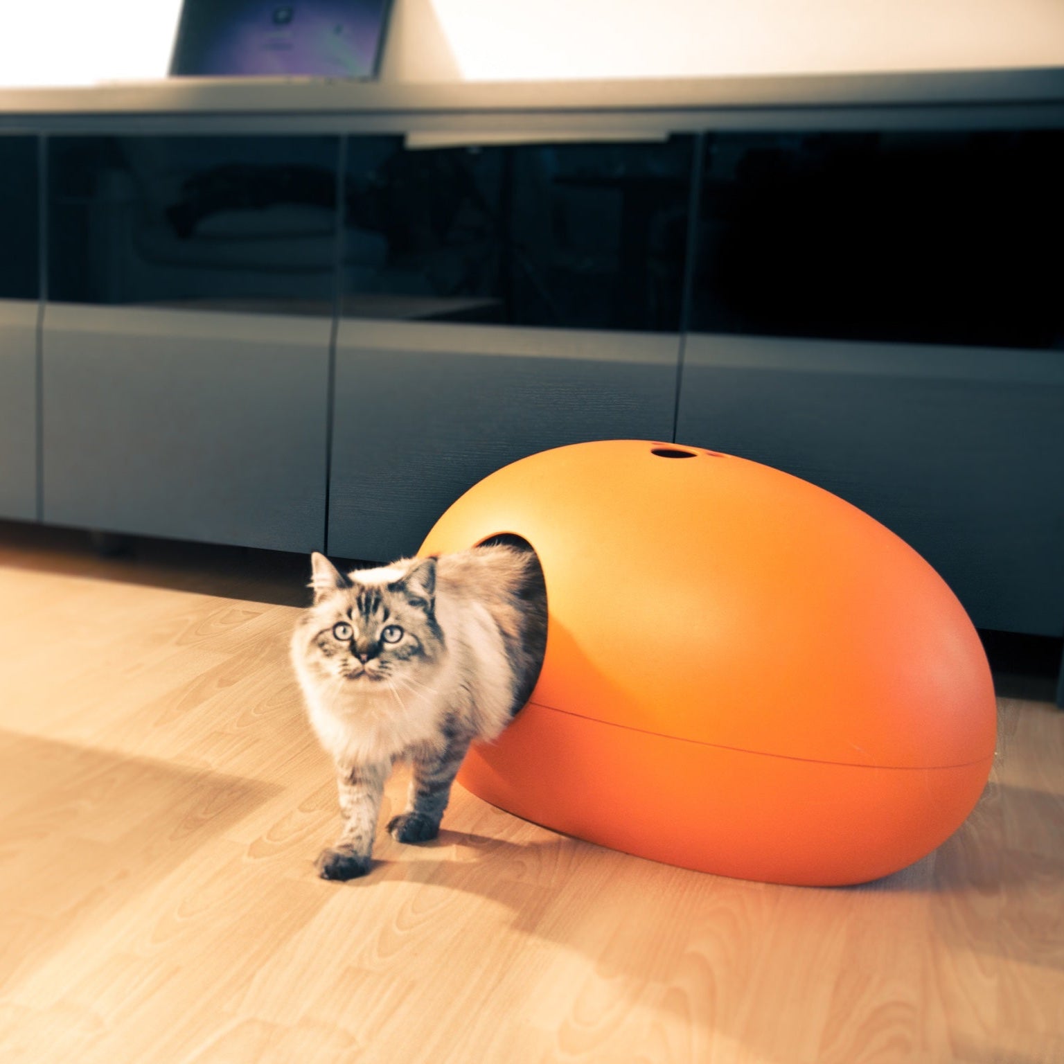 Luxury Orange Poopoopeedo Cat Litter Box 5