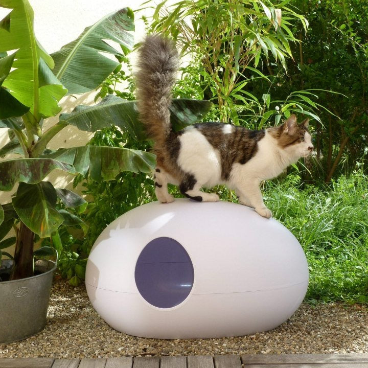 Luxury White Poopoopeedo Cat Litter Box 13