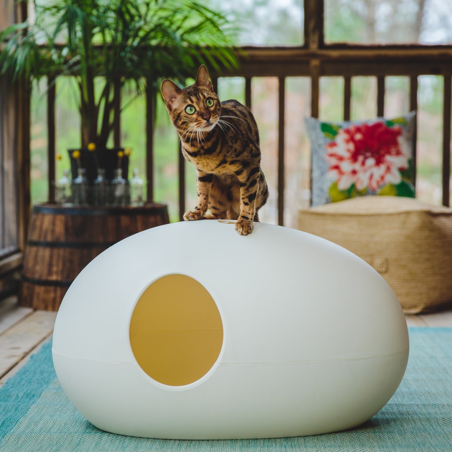 Luxury White Poopoopeedo Cat Litter Box