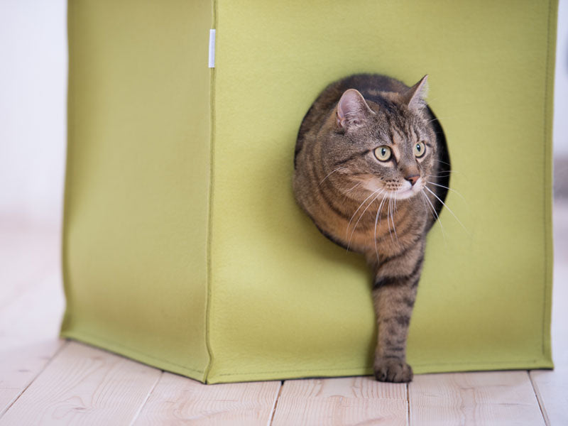 Luxury Mood Felt Cat Cave Bed
