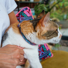 Mud Cloth Cat Collar 3
