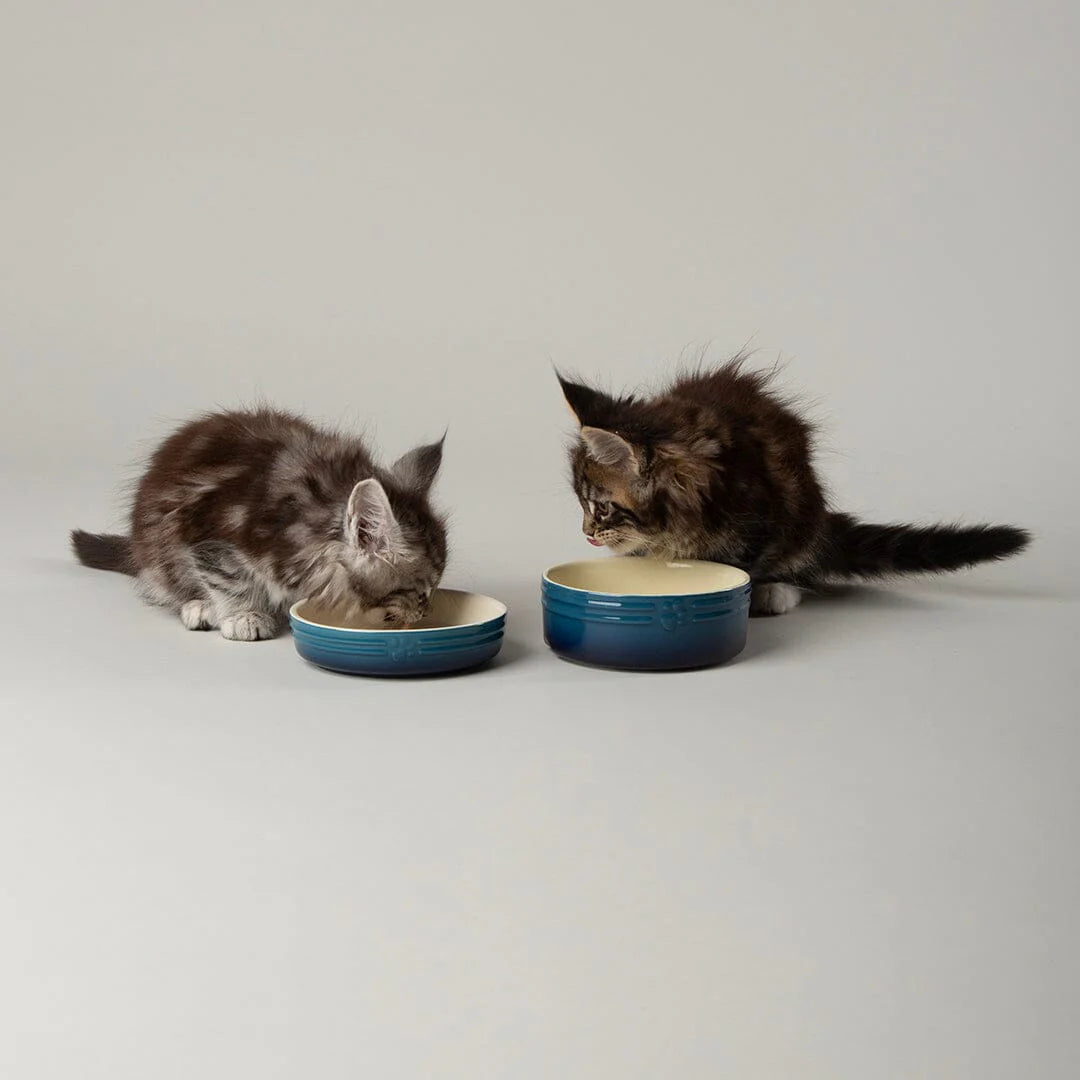 Ombre 2 Piece Cat Food Bowl & Saucer Set - Blue
