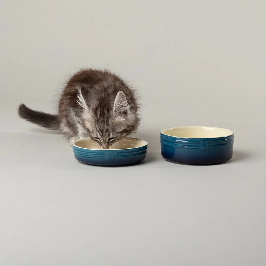 Ombre 2 Piece Cat Food Bowl & Saucer Set - Blue