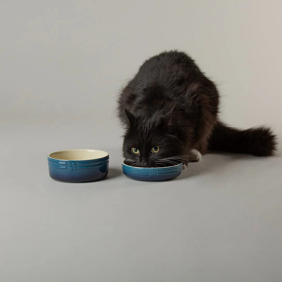 Ombre 2 Piece Cat Food Bowl & Saucer Set - Blue