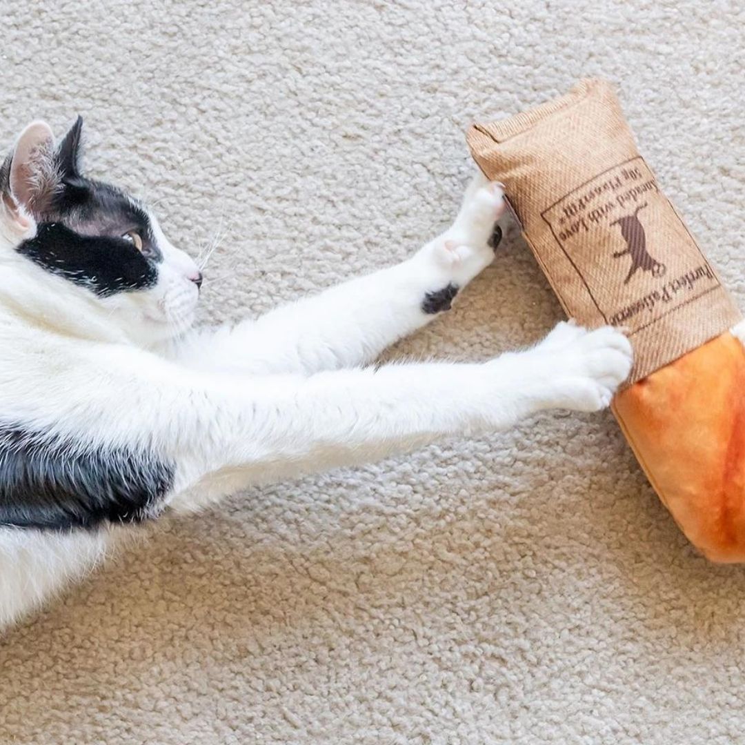 PLAY Feline Frenzy Kicker Tuna Baguette Cat Toy 4