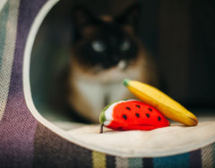 PLAY Feline Frenzy Tropical Fruits Cat Toy Set of 2