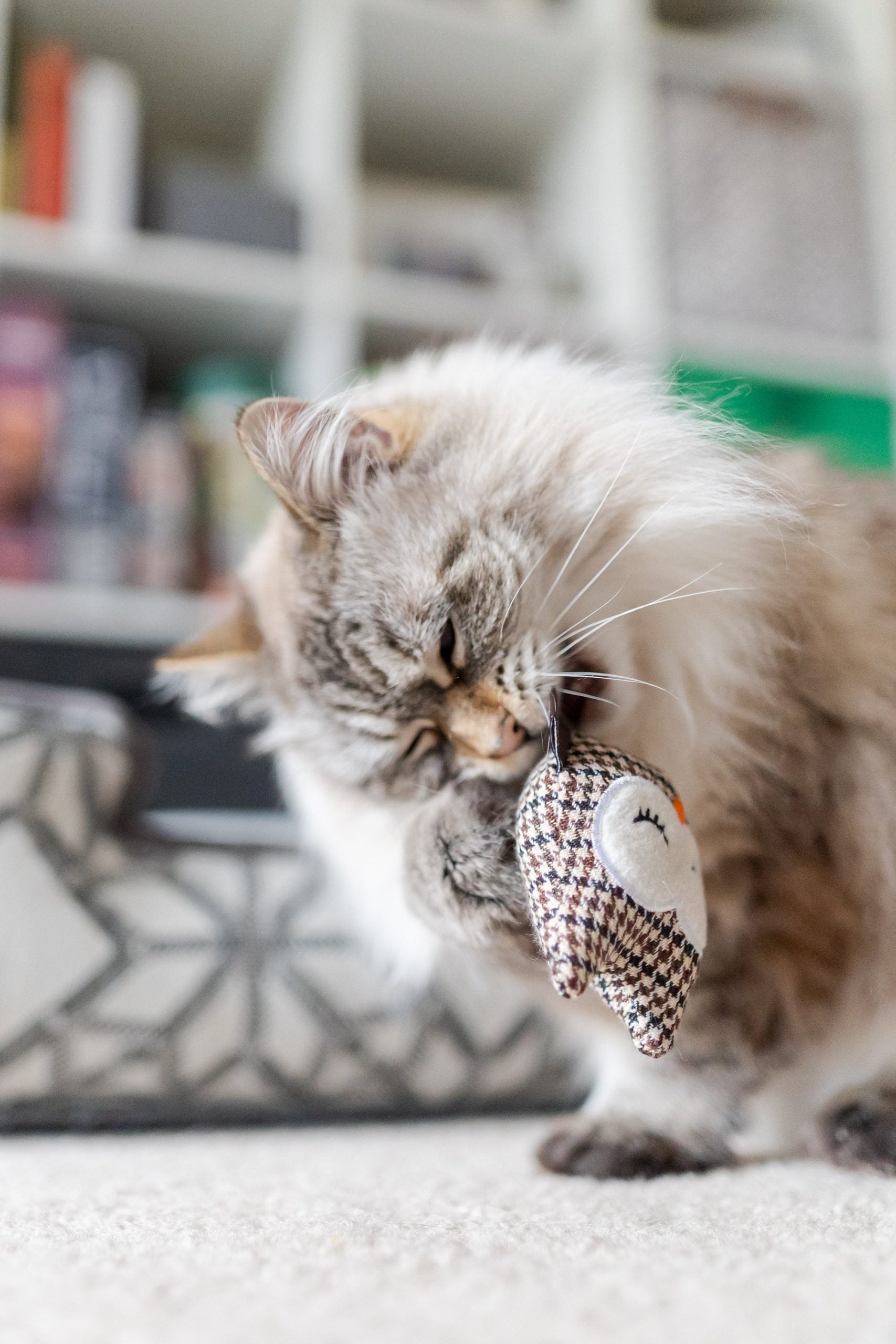 PLAY Feline Frenzy Hooti-ful Owls Catnip Toys