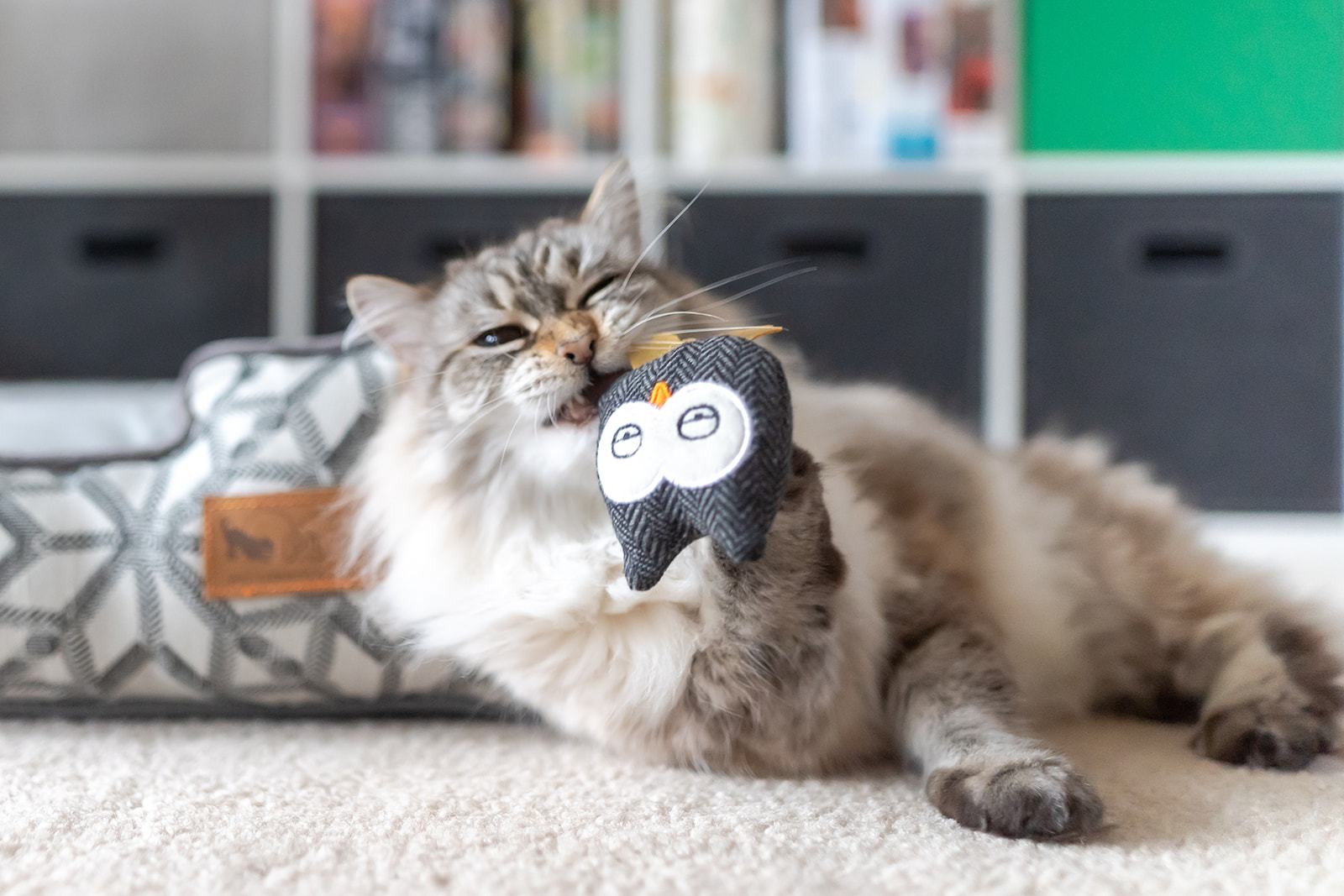 PLAY Feline Frenzy Hooti-ful Owls Catnip Toys