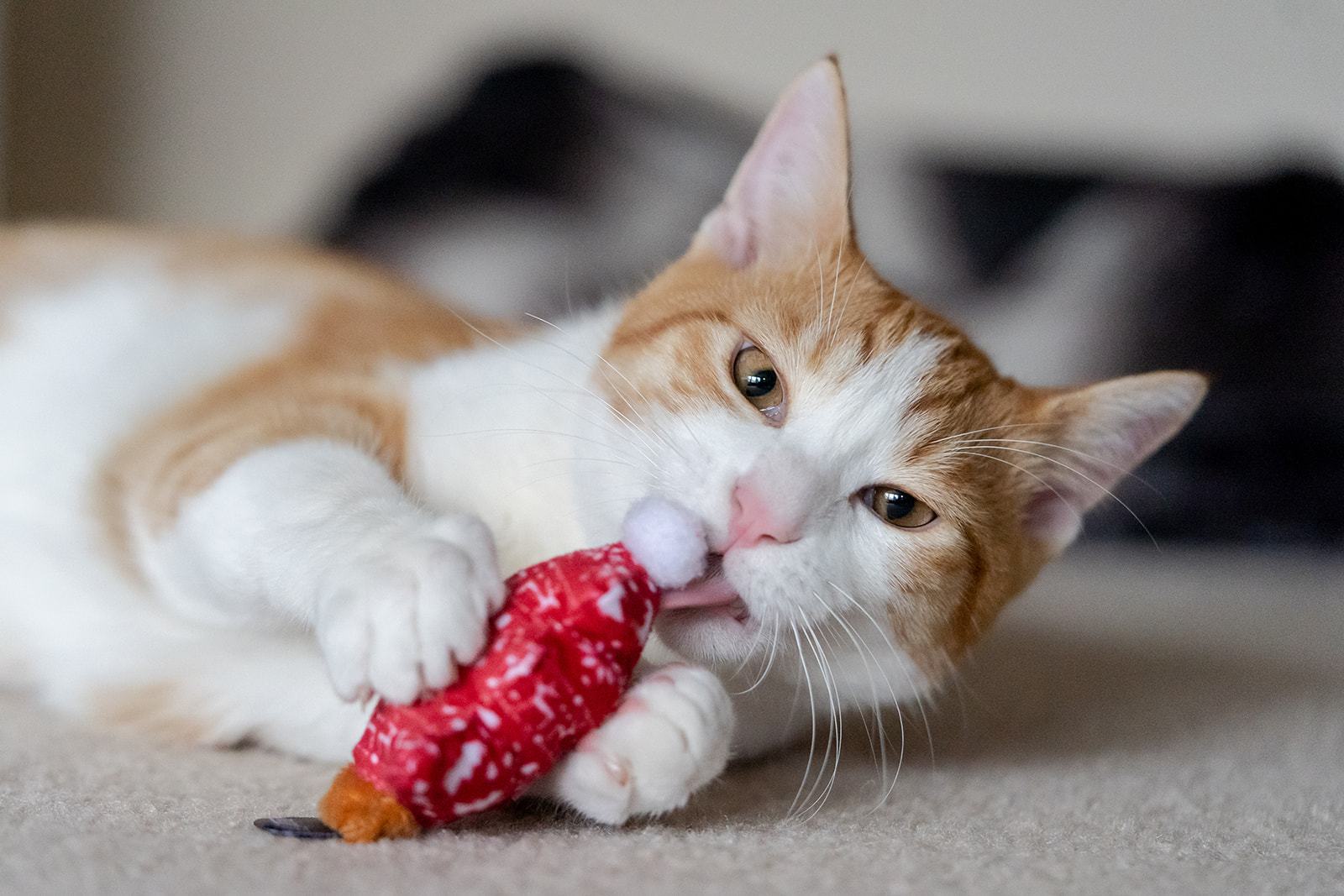 PLAY Feline Frenzy Meowy Christmas Catnip Toys