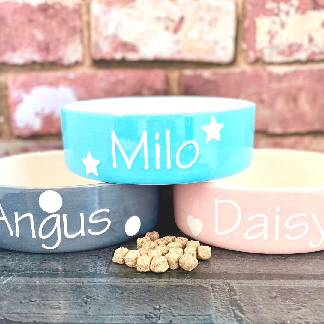 Personalised Ceramic Polka Dots Cat Bowls 2
