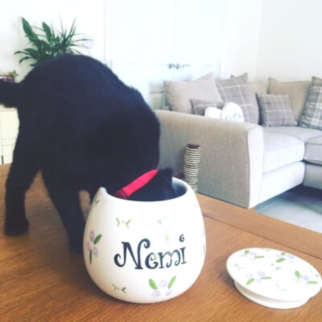 Personalised Ceramic Roses Cat Treat Jars 2