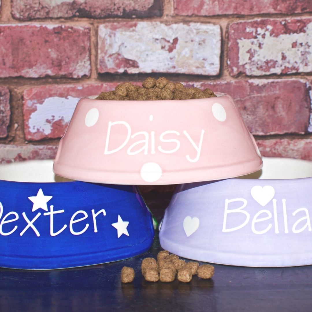 Personalised Ceramic Slanted Polka Dots Cat Bowls 2