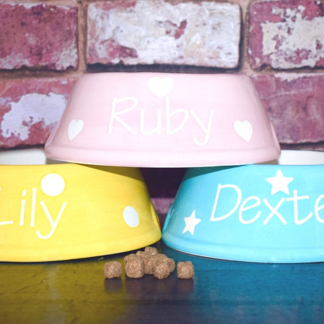 Personalised Ceramic Slanted Polka Dots Cat Bowls 3