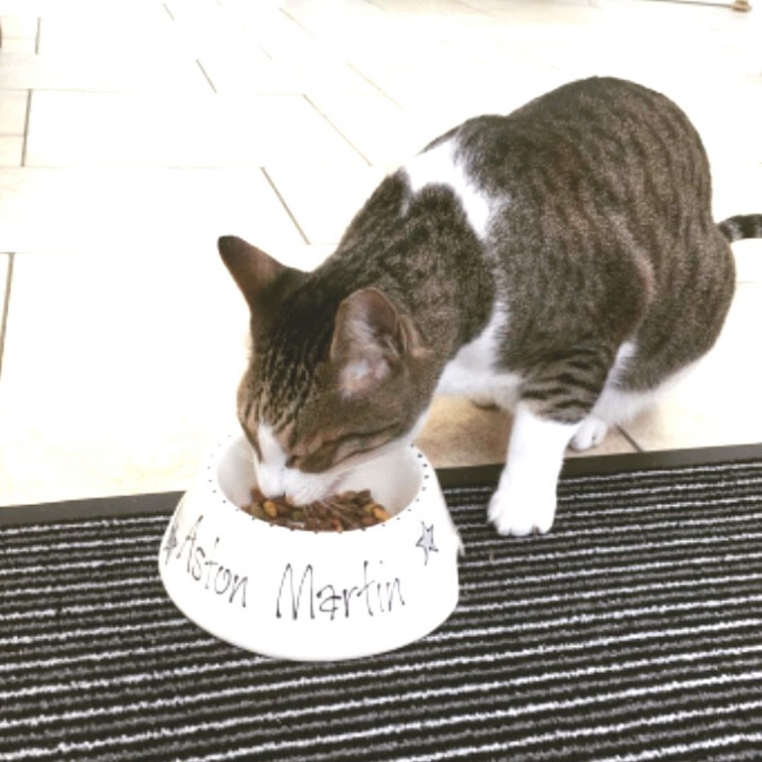 Personalised Ceramic Slanted Whimsical Cat Bowls 3
