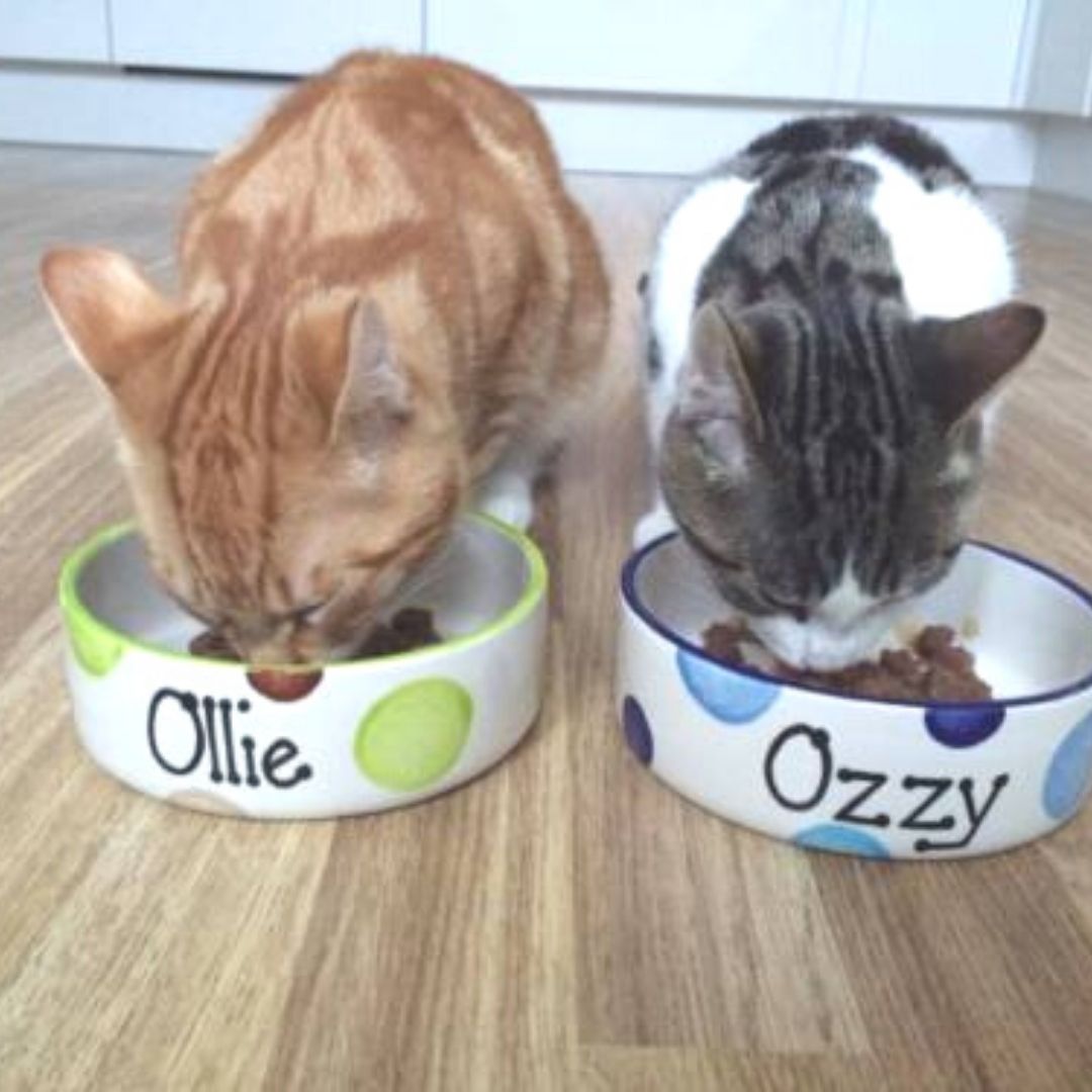 Personalised Ceramic Spotty Cat Bowls