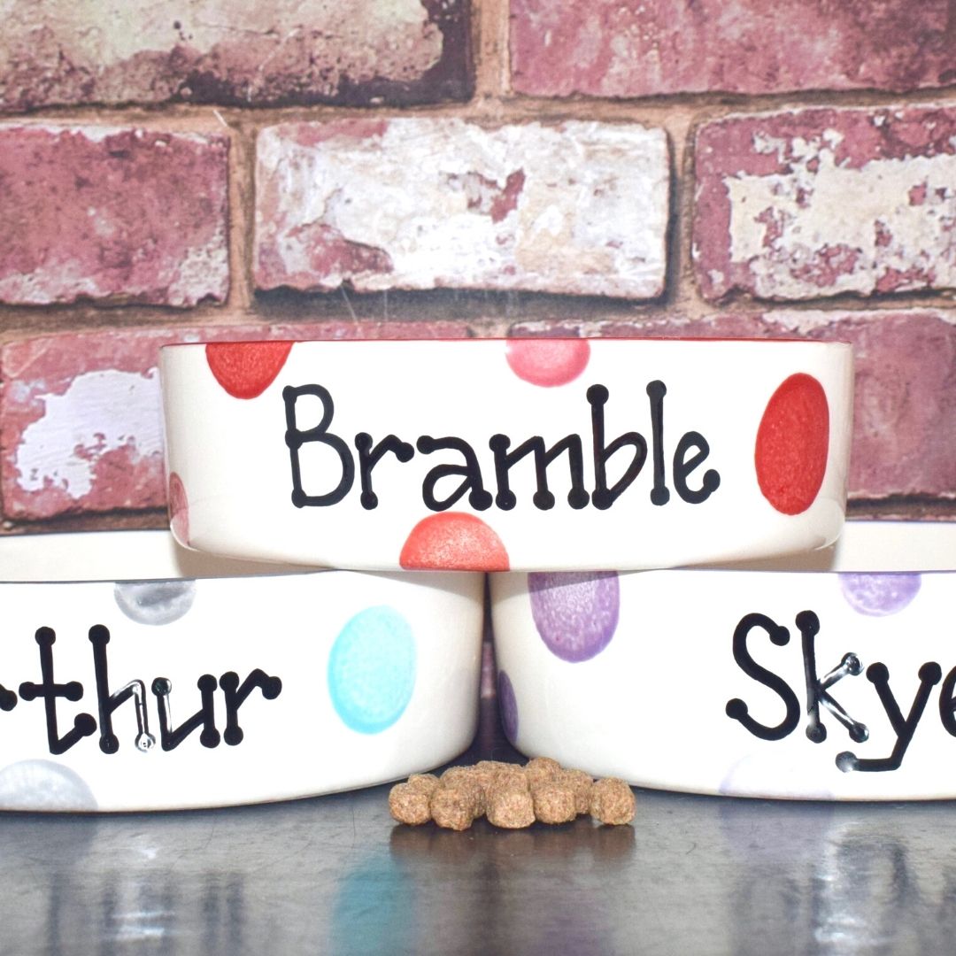 Personalised Ceramic Spotty Cat Bowls 2