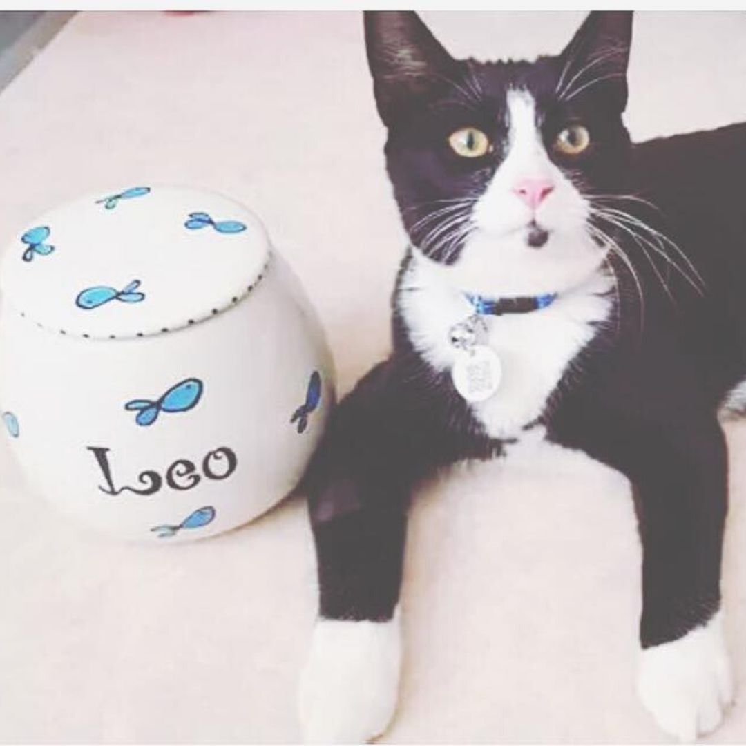 Personalised Ceramic Whimsical Cat Treat Jars 2