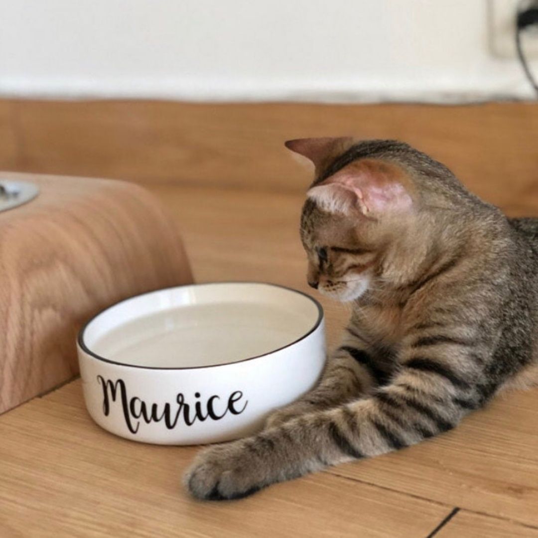 Personalised Script Font Design Cat Bowl