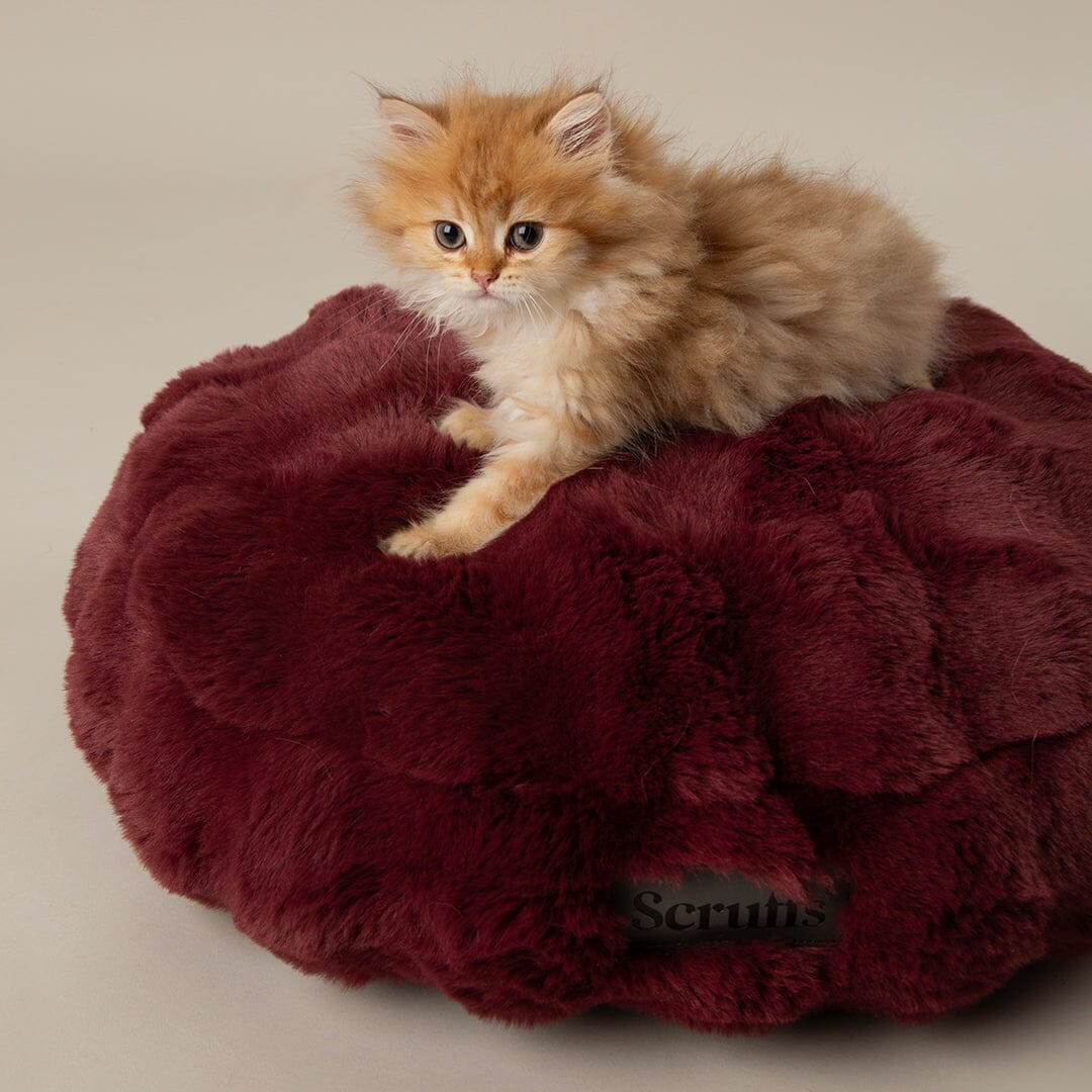 Scruffs Festive Fur Cat Bed - Burgundy
