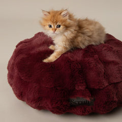 Scruffs Festive Fur Cat Bed - Burgundy