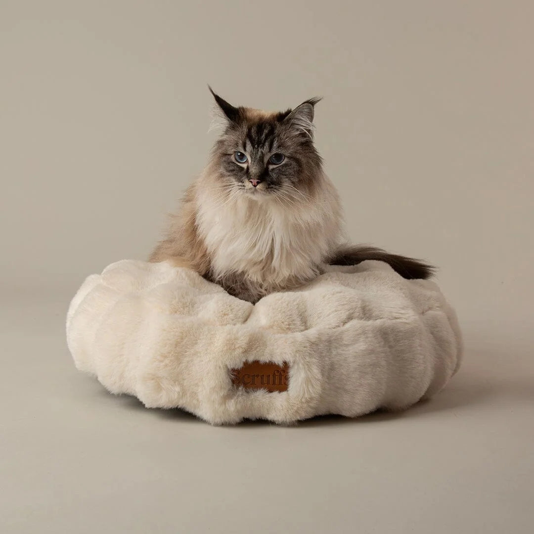Scruffs Festive Fur Cat Bed - Cream