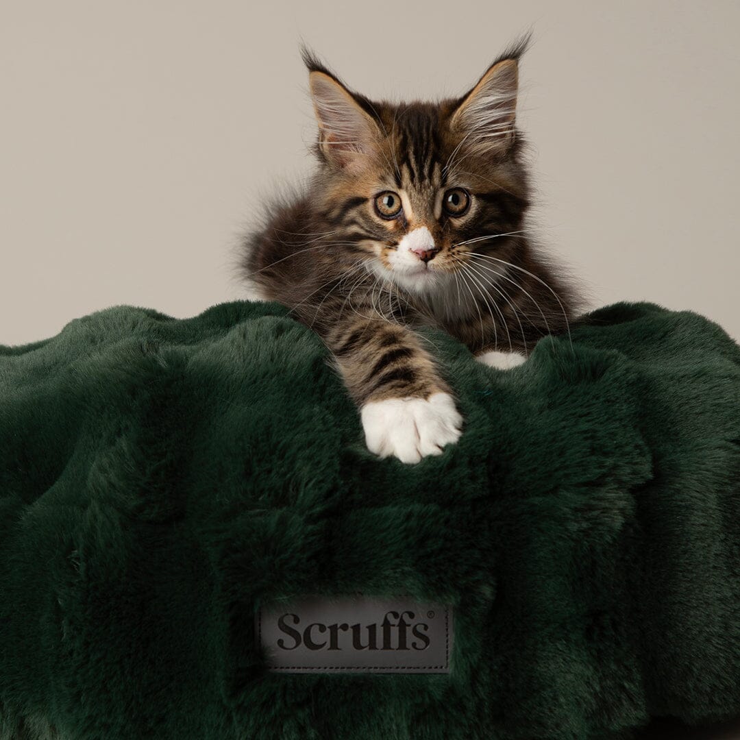 Scruffs Festive Fur Cat Bed - Green