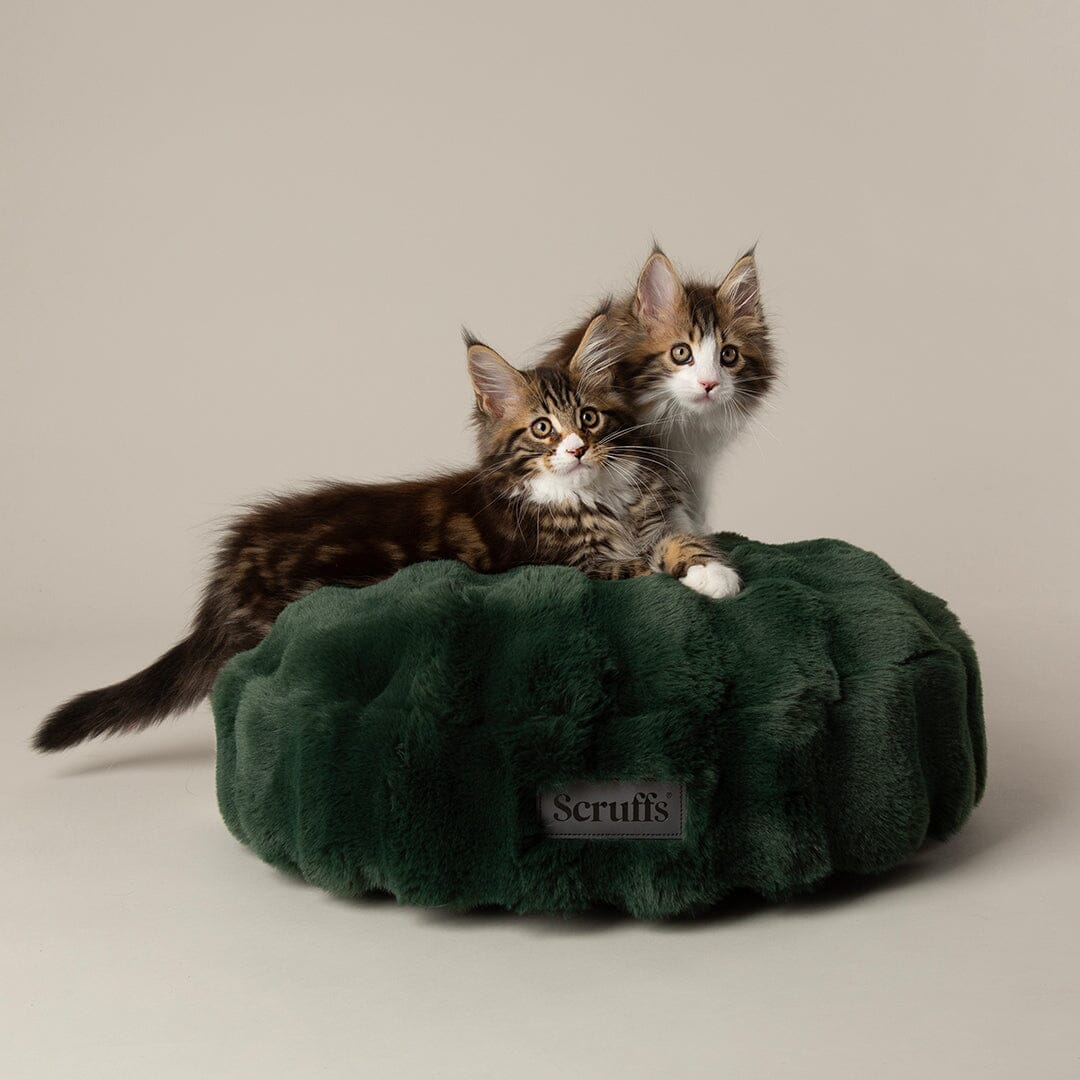Scruffs Festive Fur Cat Bed - Green