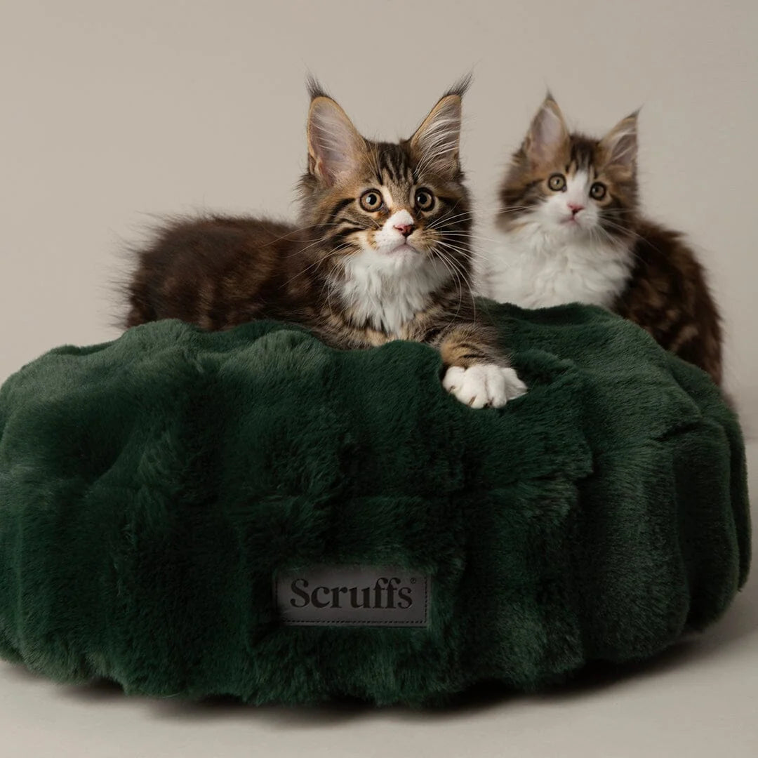 Scruffs Festive Fur Cat Bed - Green