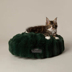 Festive Fur Cat Bed - Green